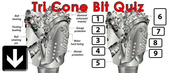 Bit-Component-quiz-cover-web